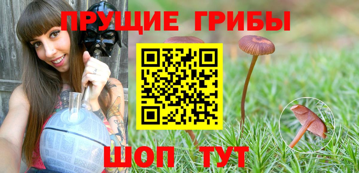 Псилоцибиновые грибы Cubensis  Вход с VPN  Сарапул 